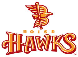 hawks